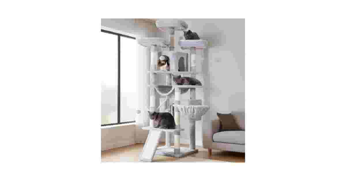 Arranhadores Com Vários Níveis Reviews: Qual O Melhor?