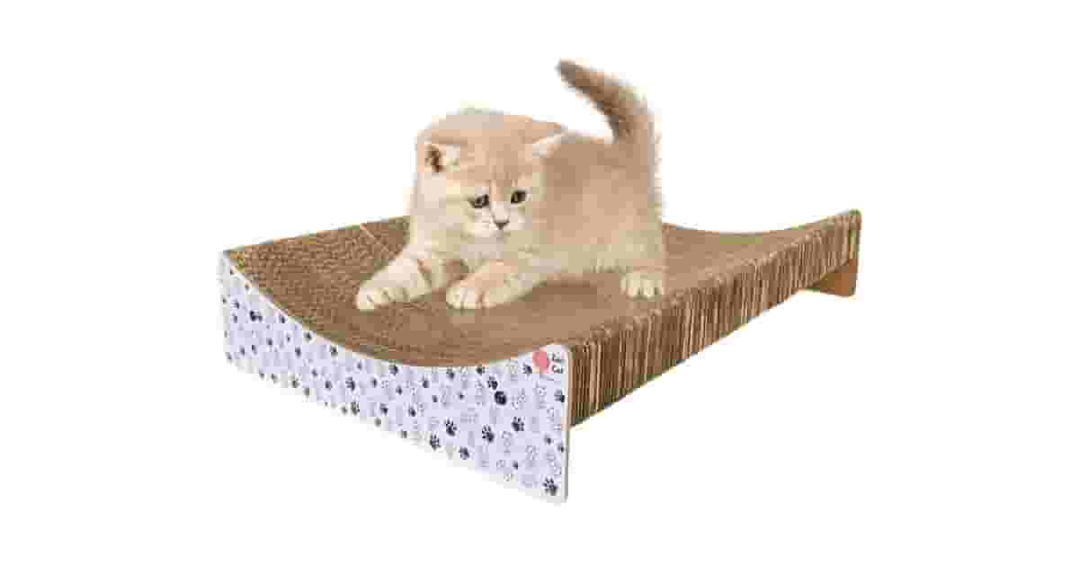 Arranhadores De Papelão Para Gatos Grandes Reviews: Guia Dos 3 Melhores