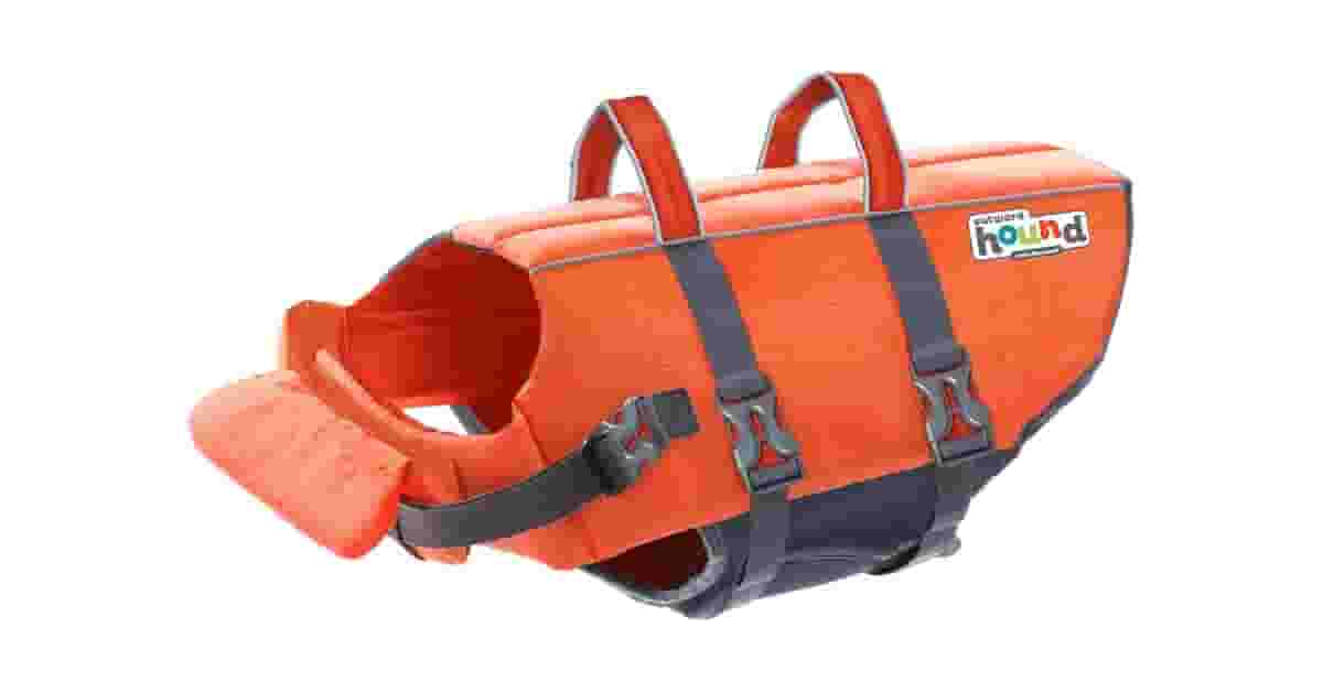 Boias Salva Vidas Para Cachorro Reviews: Qual a Mais Segura?