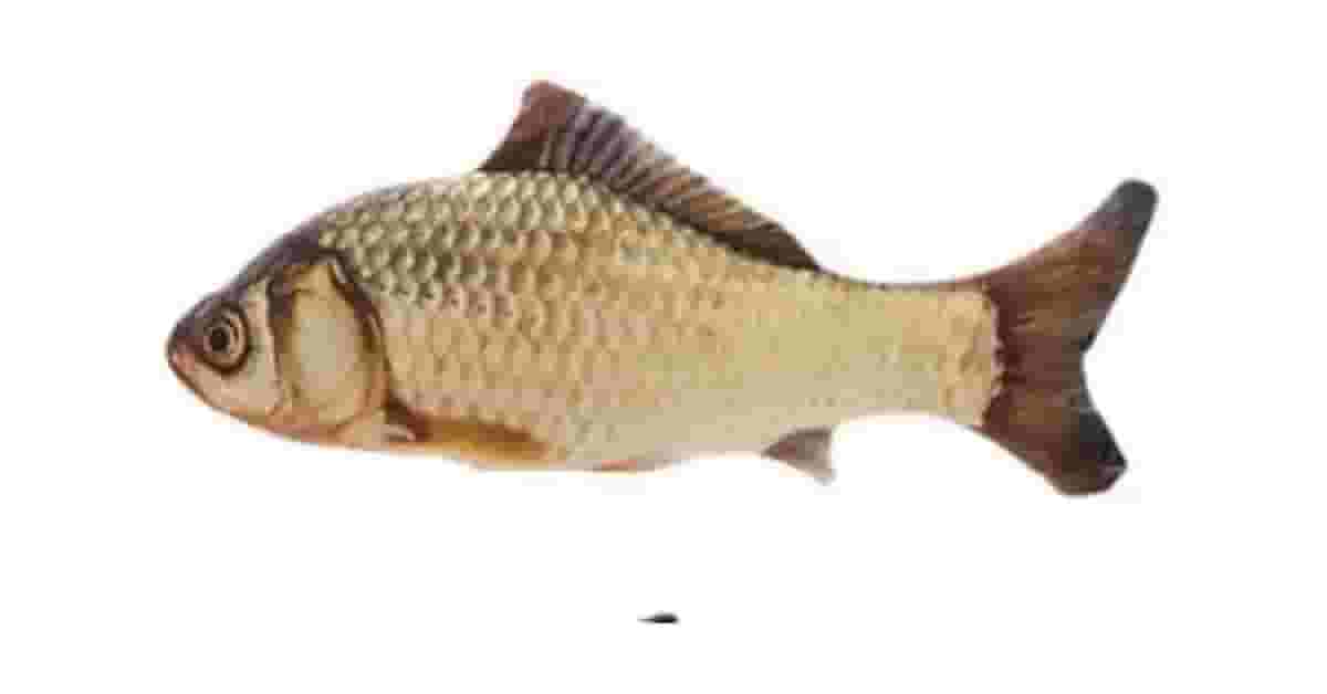 Brinquedos de Pelúcia Para Gato Reviews: 10 Opções