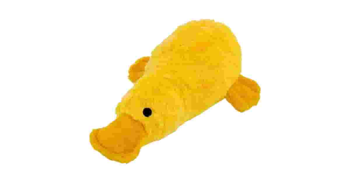 Brinquedos Para Cães Com Som Reviews: Guia do Melhor