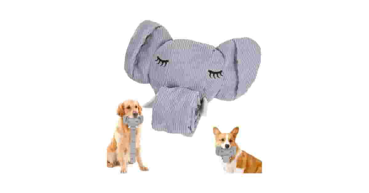 Brinquedos Para Cães Que Gostam De Barulho Reviews: Os 10 Mais Divertidos