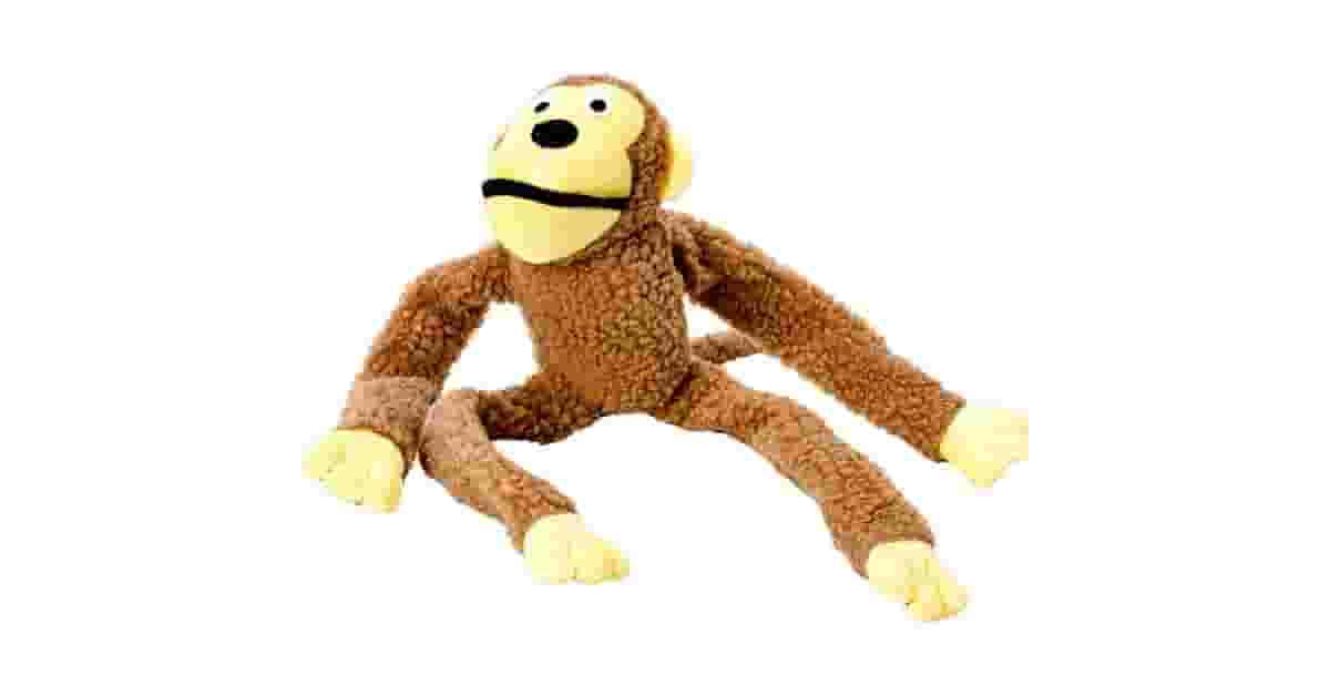 Brinquedos Para Cães Que Gostam De Desatar Nós Reviews