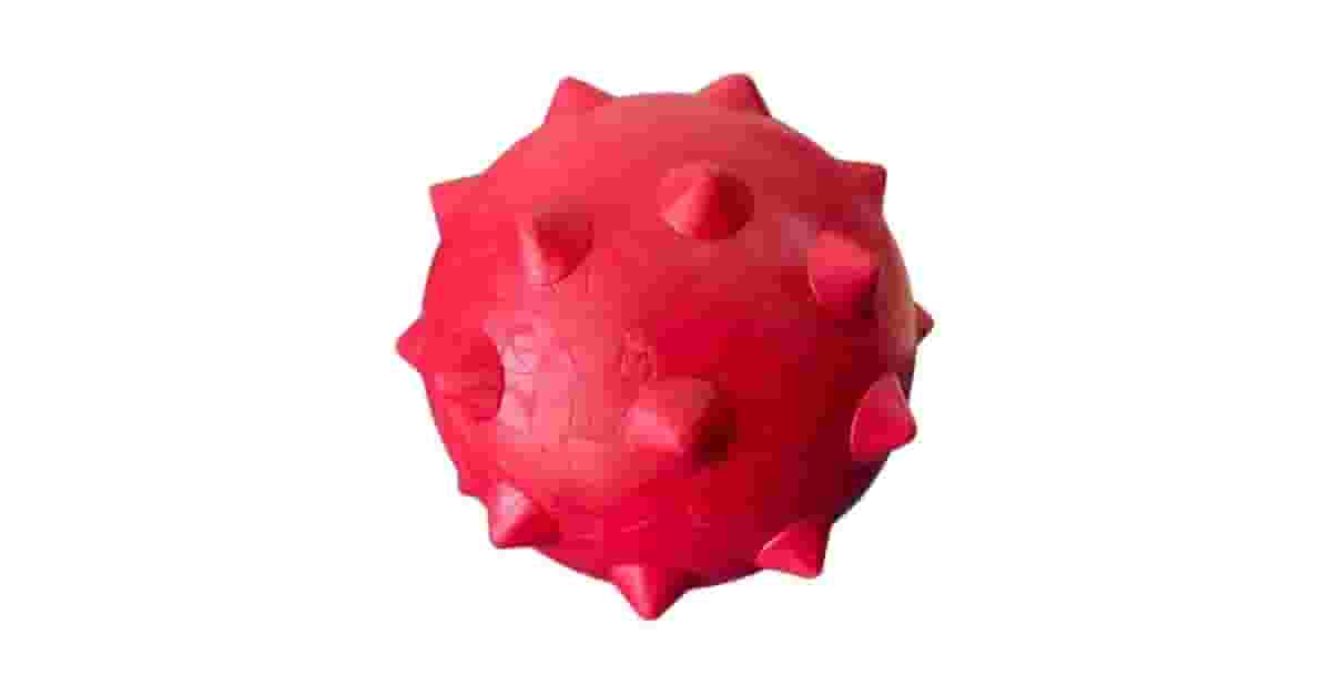 Brinquedos Para Cães Que Gostam De Objetos Macios Reviews