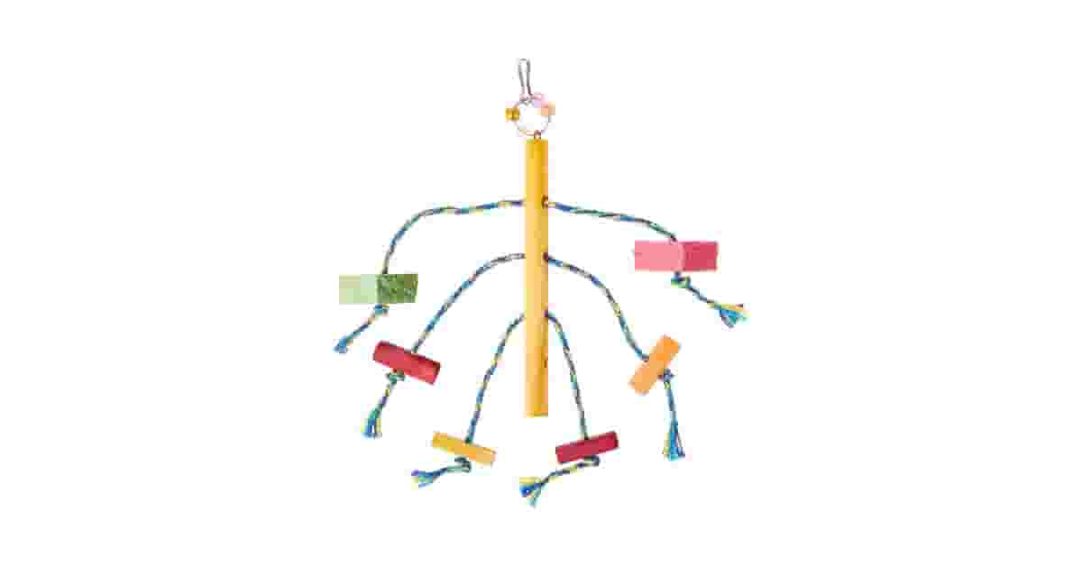 Brinquedos para papagaio reviews: 10 Opções Seguras