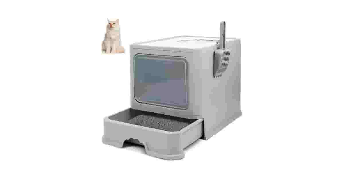 Caixas de Areia Para Gatos Que Não Gostam de Tampa Reviews: 8 Modelos Abertos