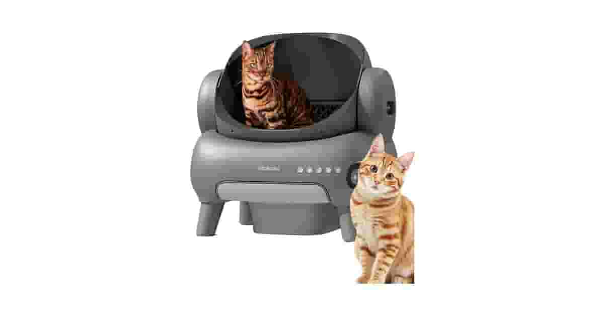 Caixas de Areia Para Gatos Que Não Levantam Poeira Reviews