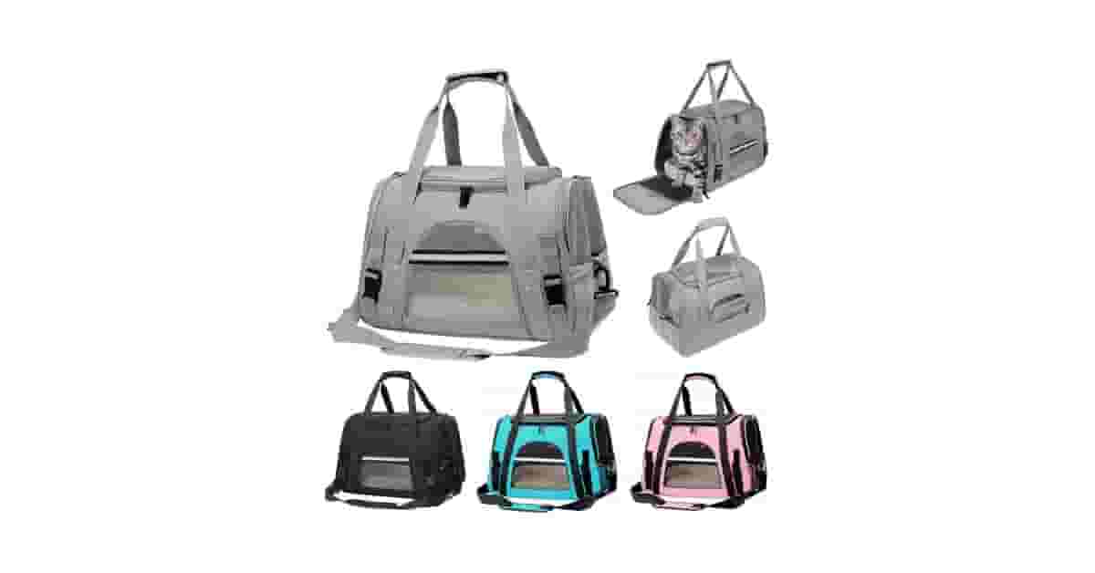 Caixas de Transporte Para Viagens de Carro Reviews: O Guia Definitivo