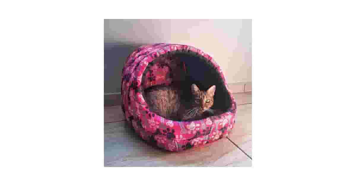 Camas Para Gatos Que Gostam De Se Esconder Reviews