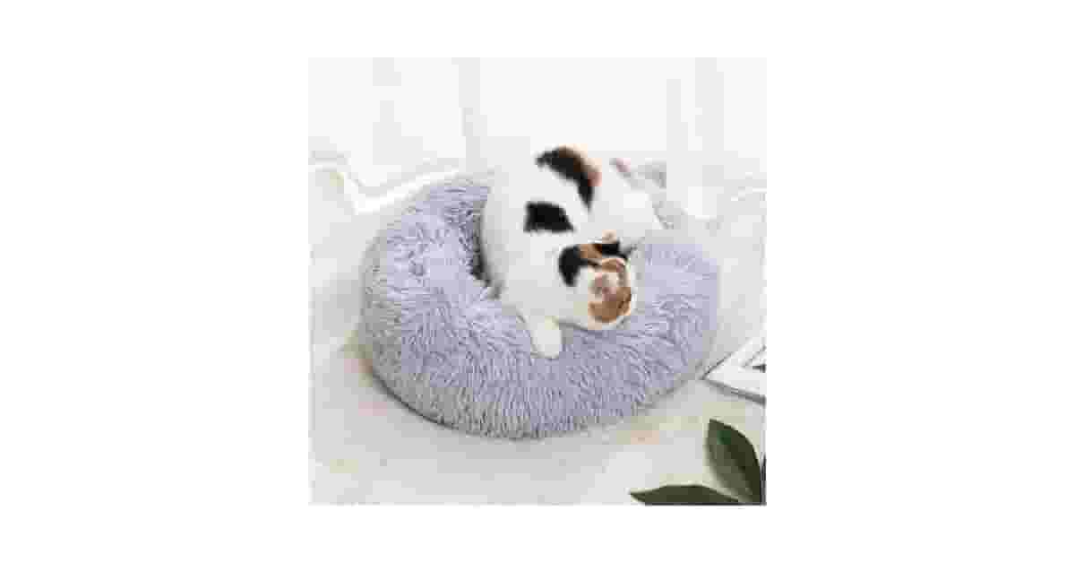 Camas Para Gatos Que Podem Ser Lavadas Na Máquina Reviews: Guia De Higiene