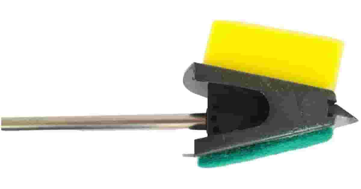 Caracóis Para Limpeza de Aquário Reviews: O Guia!