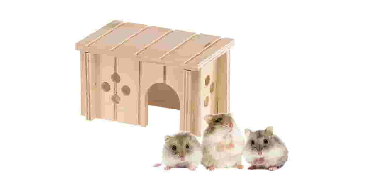 Casinhas de Coco Para Hamster Reviews: Qual Comprar?
