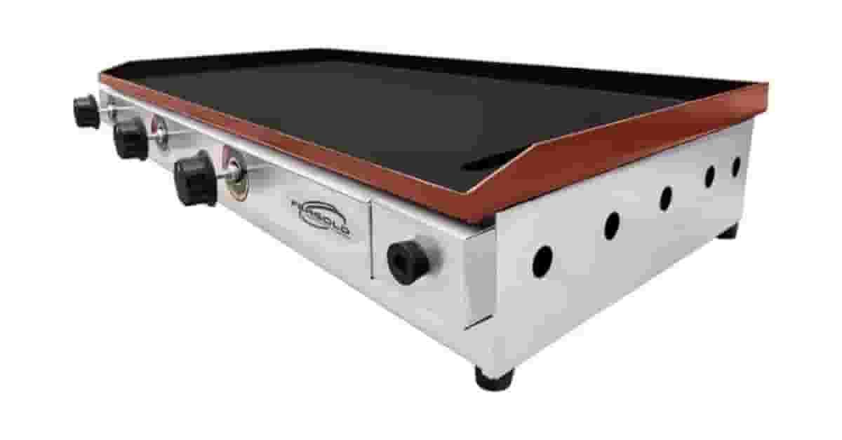 Chapas Para Lanches Profissionais Reviews: A Melhor?