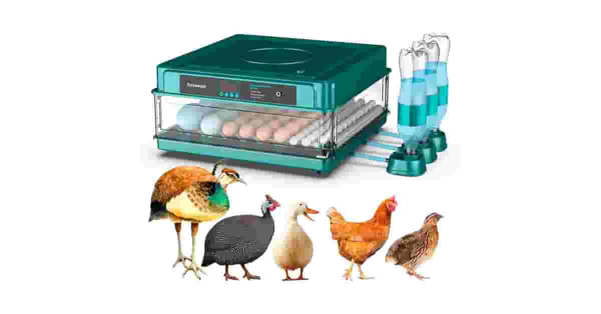 Chocadeiras Automáticas Reviews: Como Escolher a Certa?