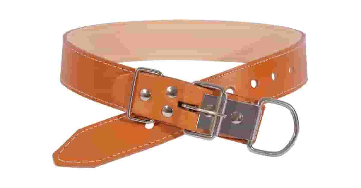 Coleiras de Couro Para Cachorro de Porte Grande Reviews: Qual a Mais Resistente?