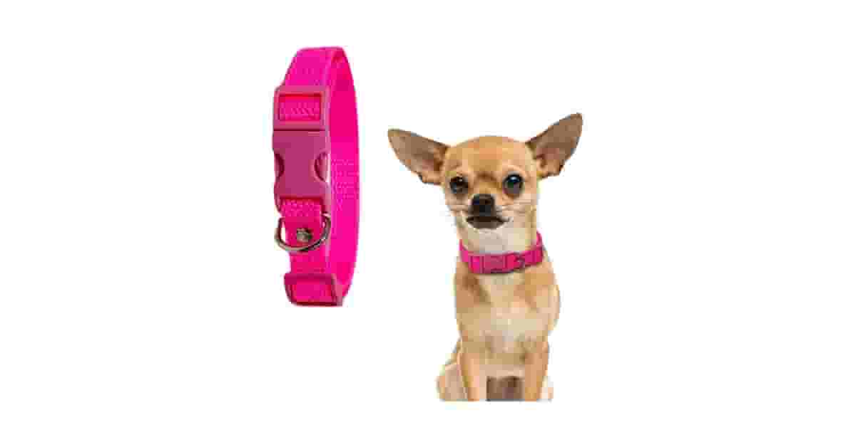 Coleiras Para Cachorro Com Alça De Controle Reviews: Guia Para Passeios Seguros