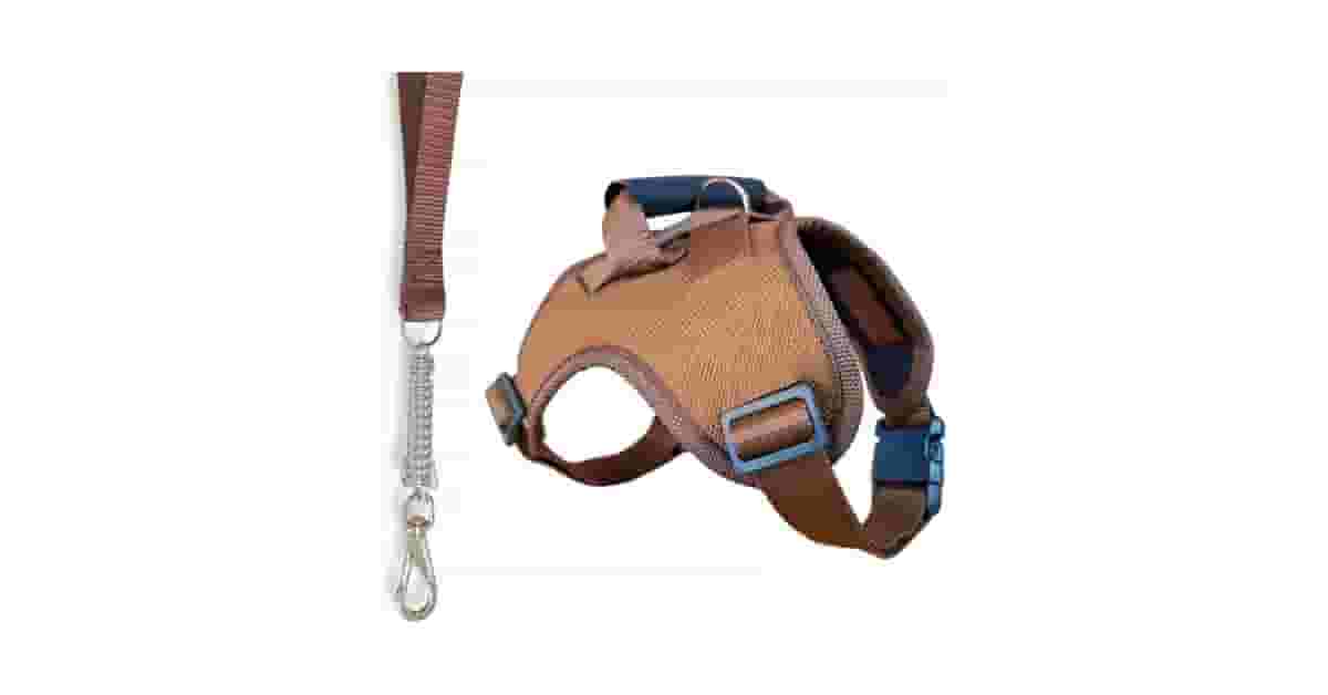 Coleiras Para Cachorro Com Amortecedor Reviews: Qual a Melhor?