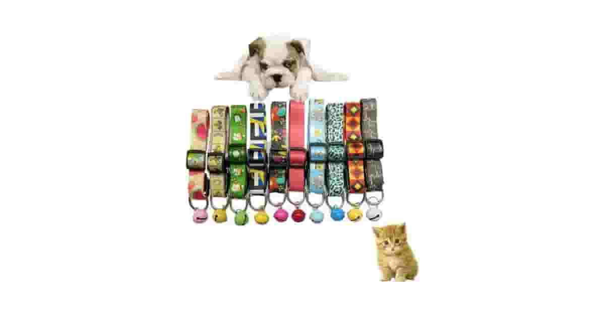 Coleiras Para Cachorro Com Estampa Divertida Reviews?