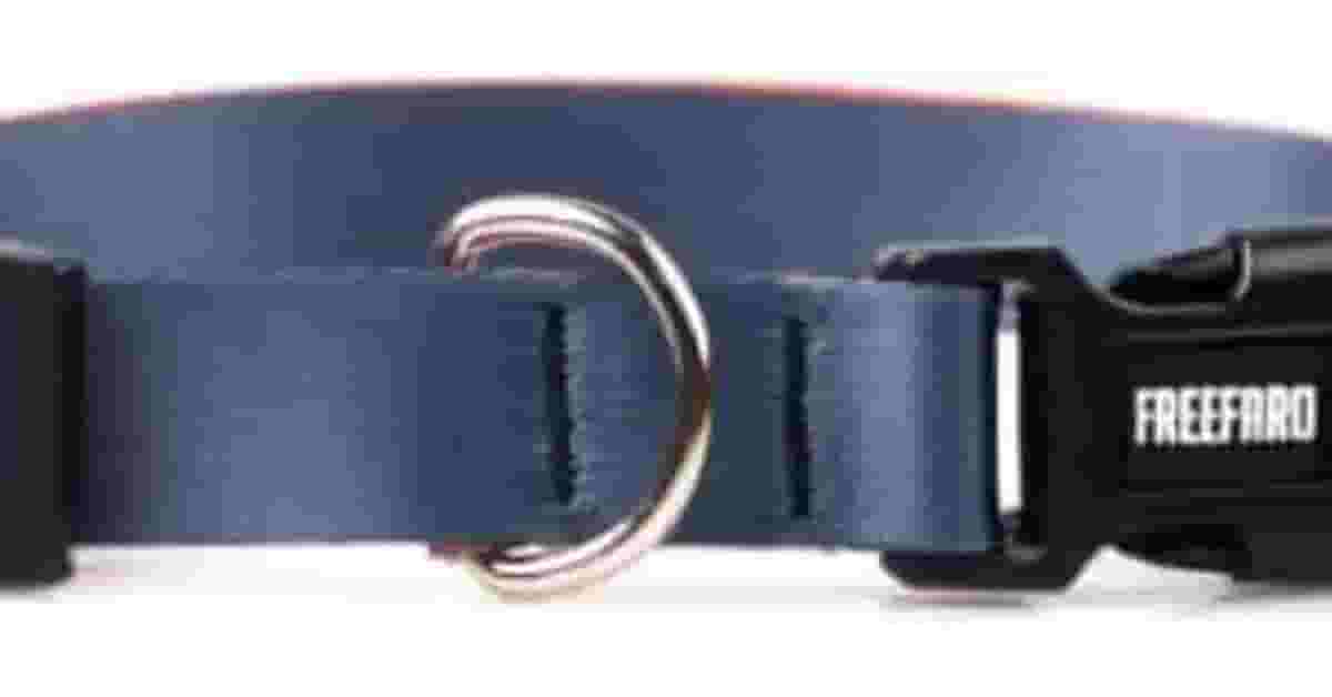 Coleiras Para Cachorro Com Fecho de Segurança Reviews?