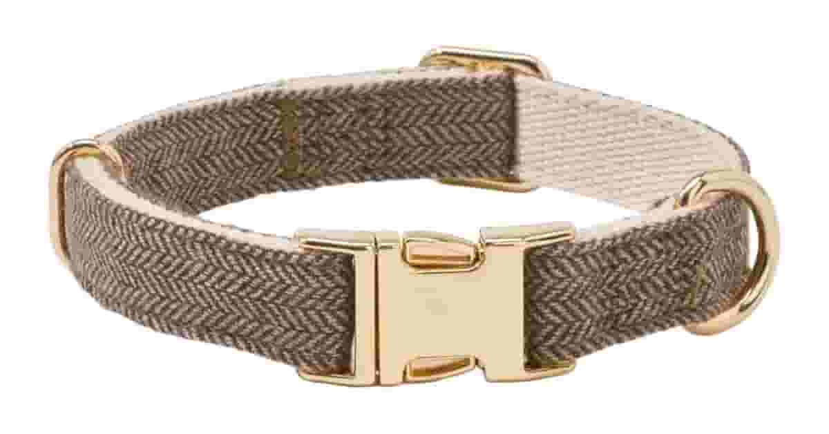 Coleiras Para Cachorro Com Fivela de Metal Reviews: As 10 Melhores