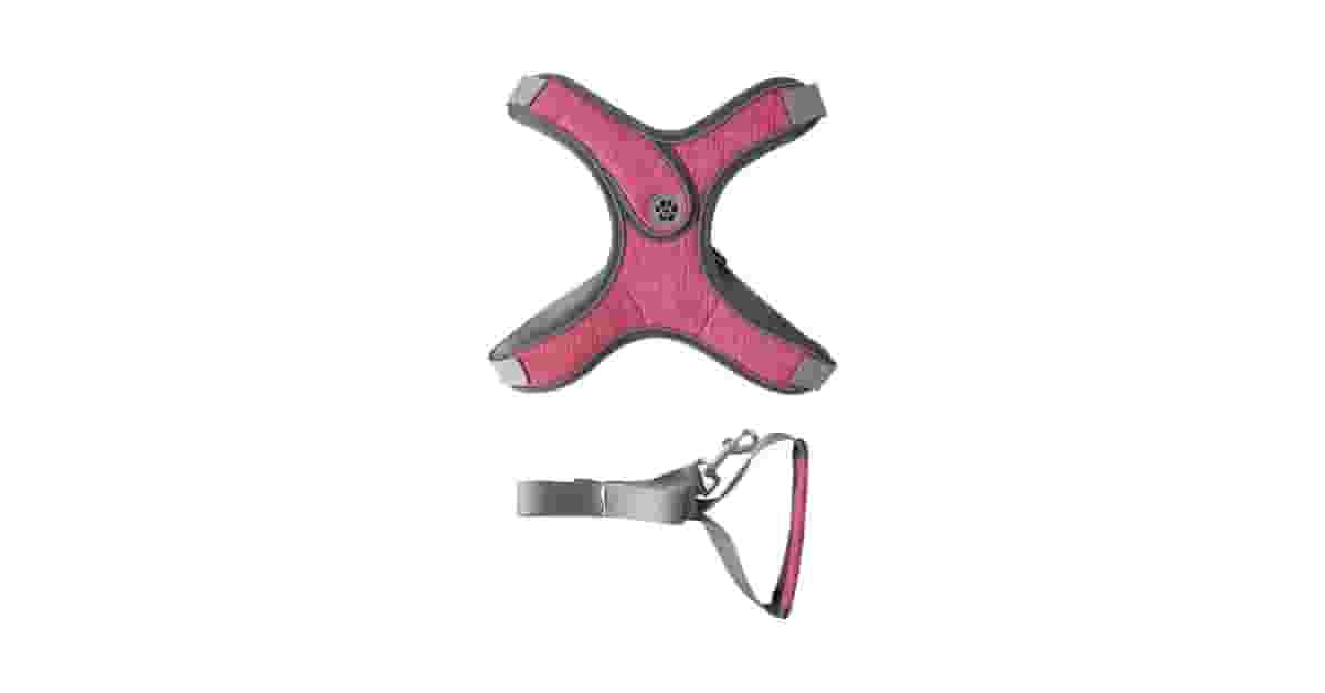 Coleiras Para Cachorro Com Guia E Peitoral Acolchoado Reviews: Qual a Melhor?