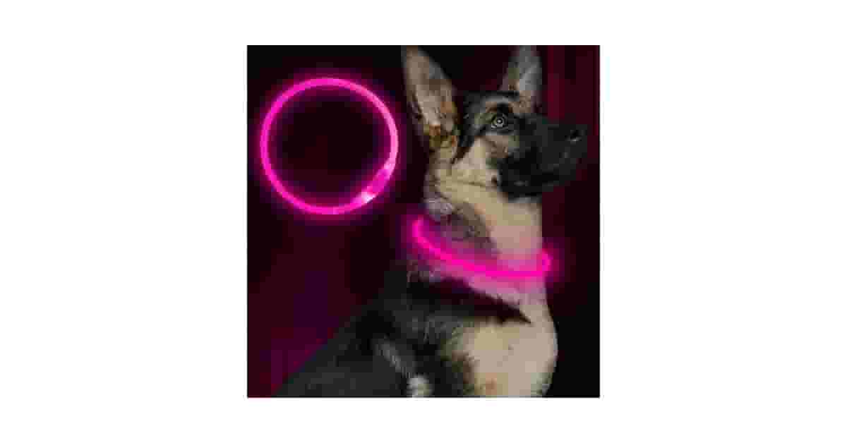 Coleiras Para Cachorro Com Led Reviews: Qual a Melhor?
