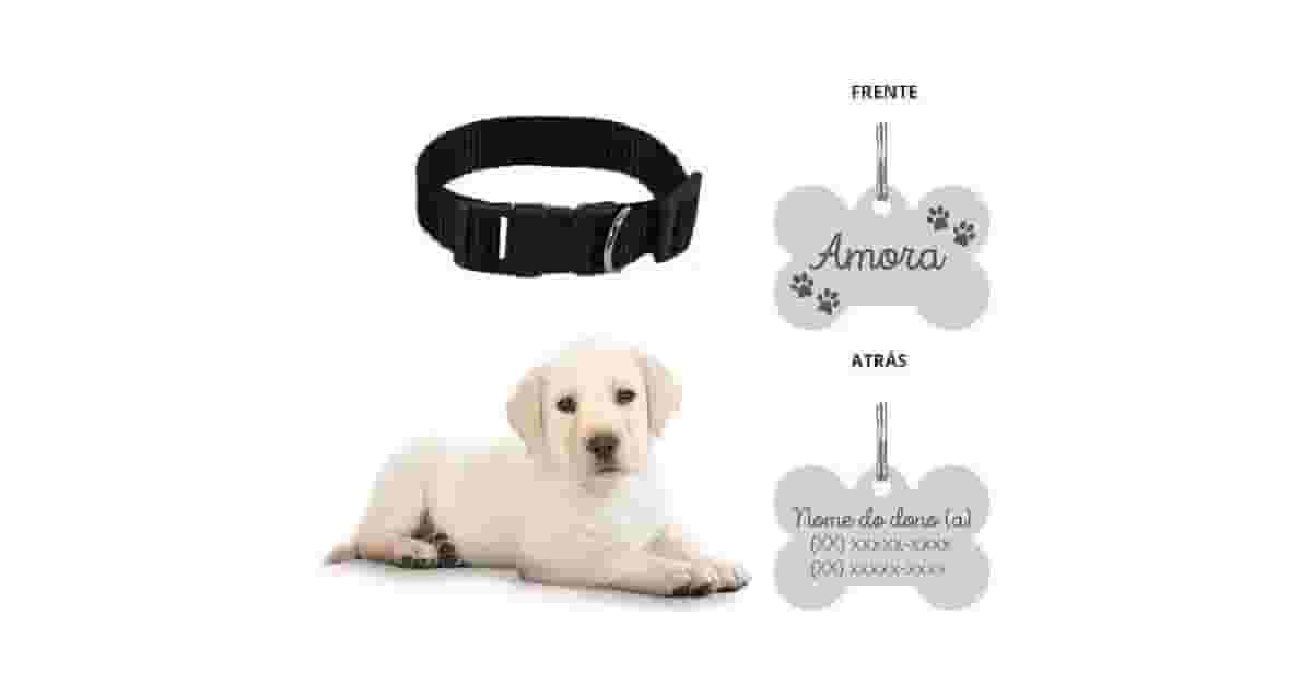 Coleiras Para Cachorro Com Nome e Telefone Reviews: Qual a Melhor?