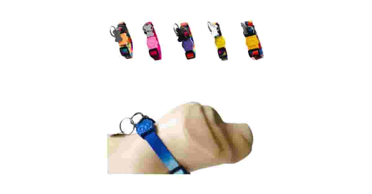 Coleiras Para Cachorro Com Pingente de Identificação Reviews: Qual a Mais Segura?