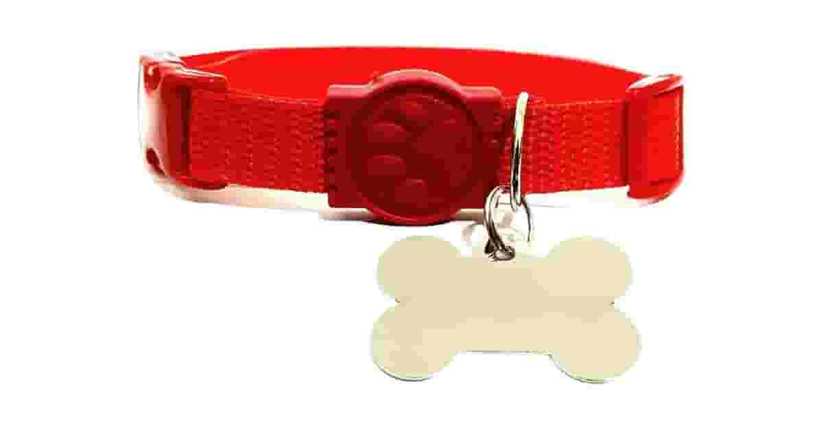 Coleiras Para Cachorro Com Placa De Identificação Reviews: As 10 Mais Seguras