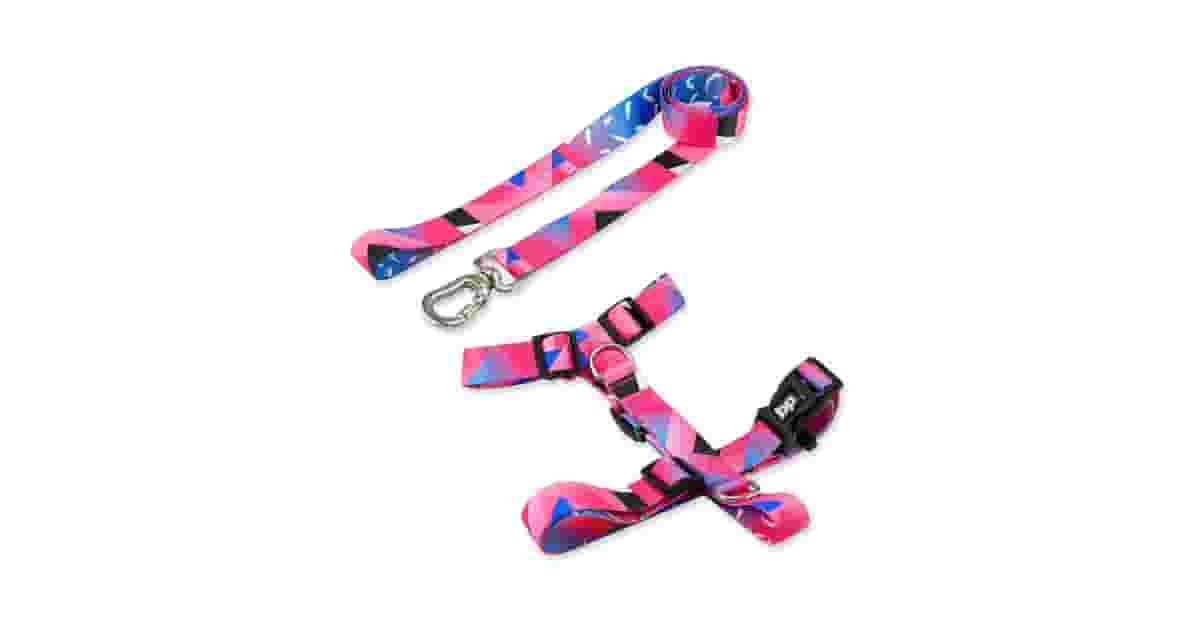 Coleiras Para Cachorro De Porte Pequeno Reviews: Qual Modelo Escolher?