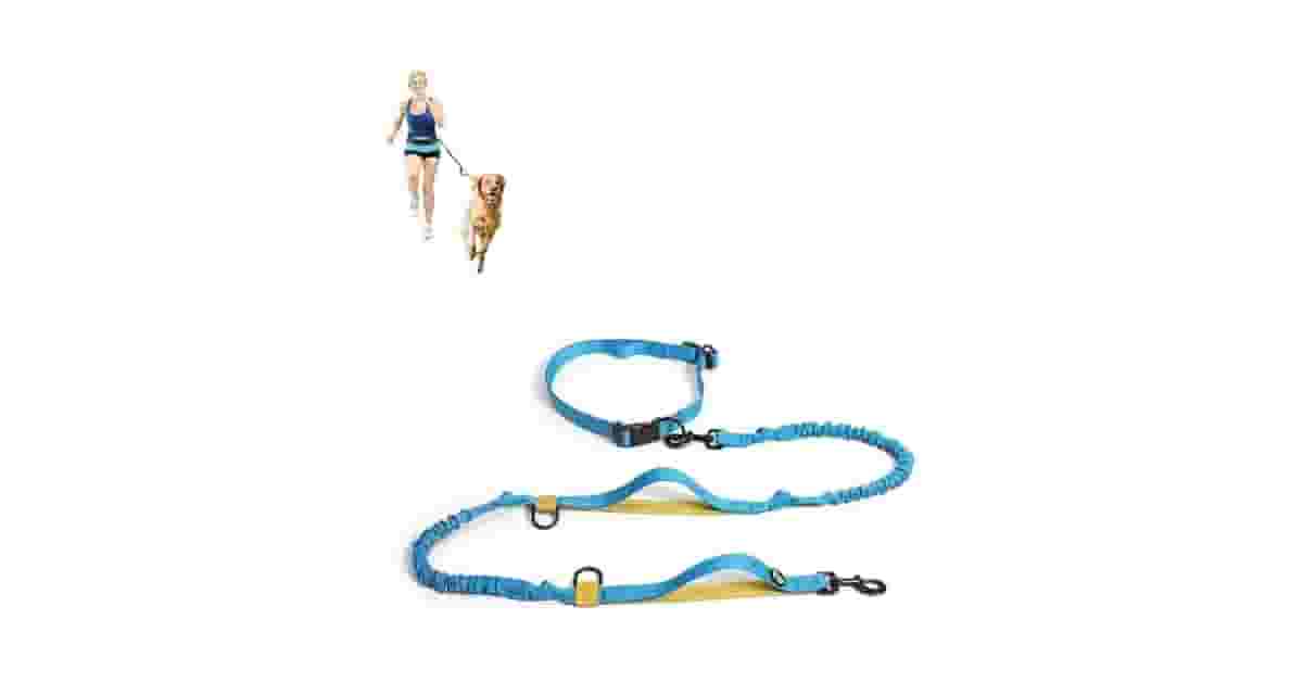 Coleiras Para Passeio Com Guia Unificada Reviews?