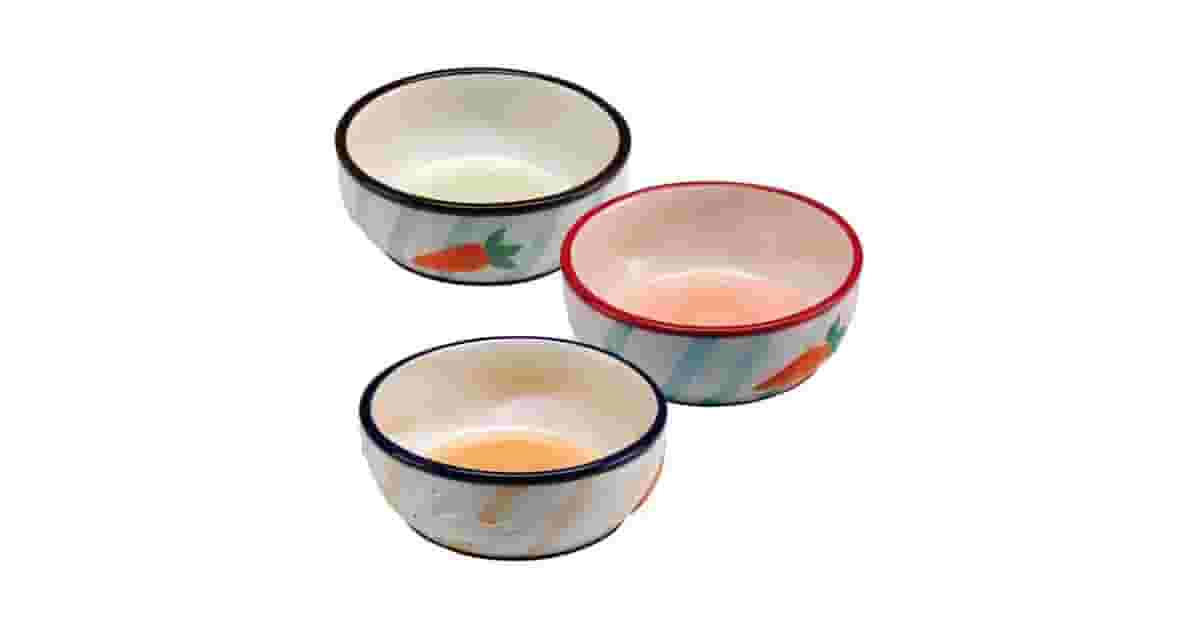 Comedouros de Cerâmica Para Roedor Reviews: Os 4 Mais Higiênicos