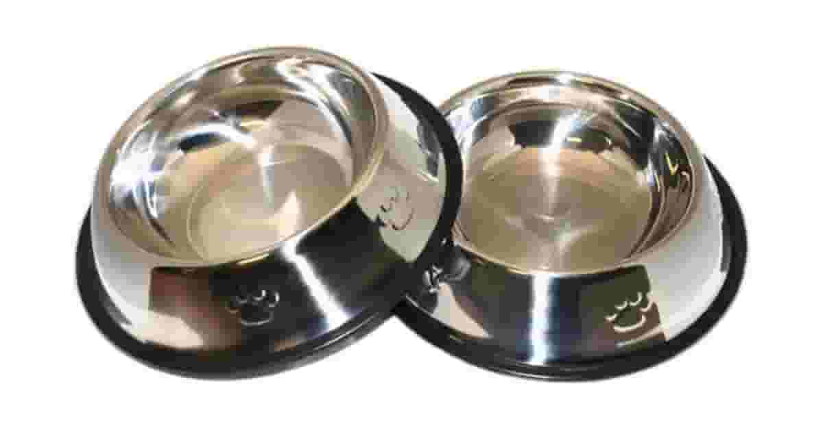 Comedouros de Inox Para Cachorro Reviews: Guia Para Cada Porte