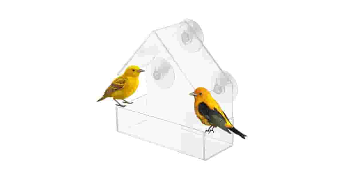 Comedouros de Janela Para Pássaros Reviews: Análise 10