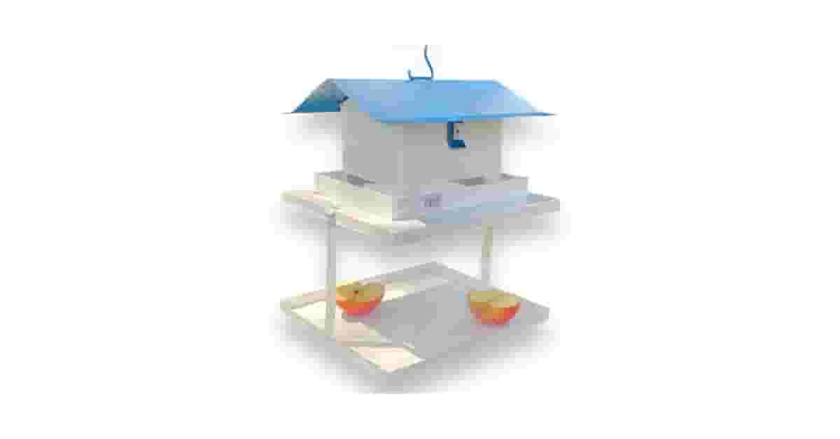 Comedouros para Pássaros Reviews: Qual o Melhor?