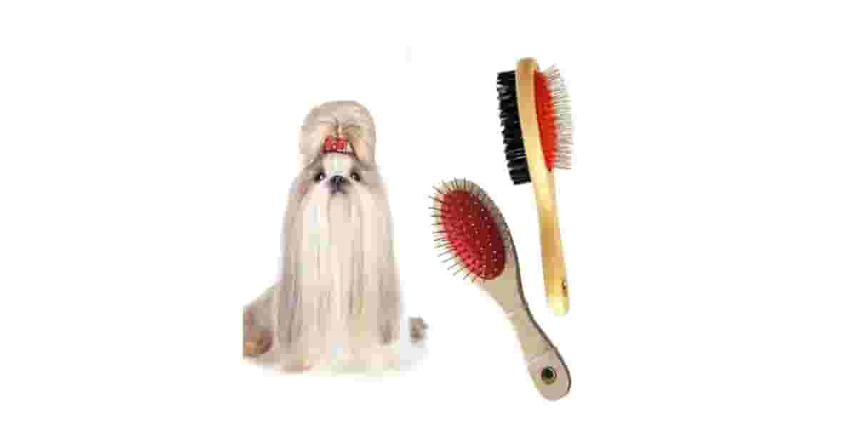 Escovas Para Desembaraçar Pelos de Gato Reviews: Adeus, Pelos!