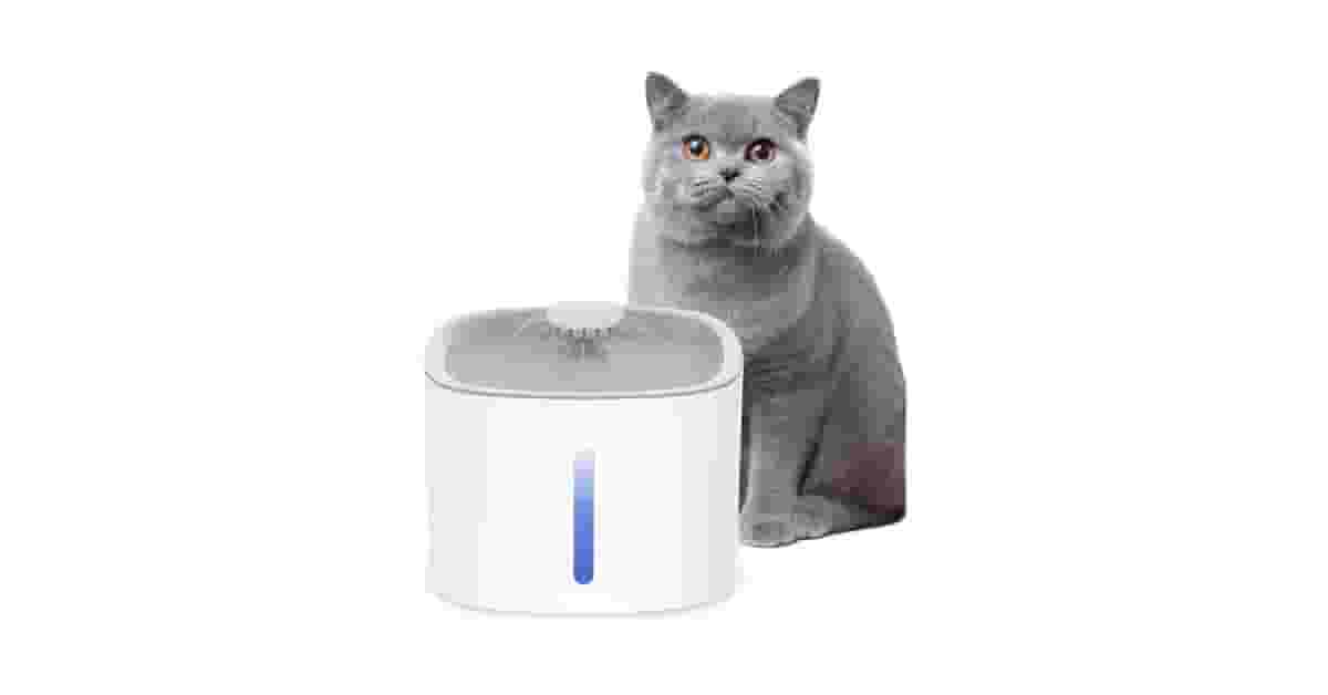 Fontes Para Gatos Com Reservatório Grande Reviews