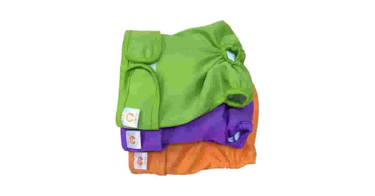 Fraldas Reutilizáveis Para Pet Reviews: O Guia Prático