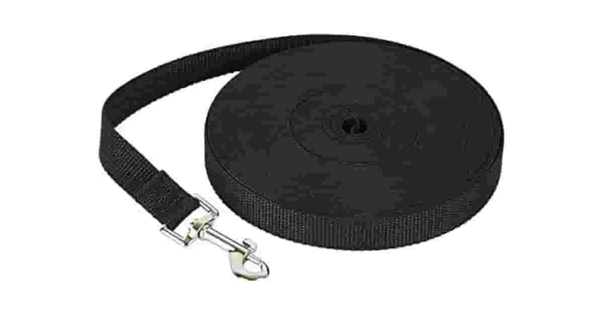 Guias Longas Para Treinamento De Cães Reviews: Top 10