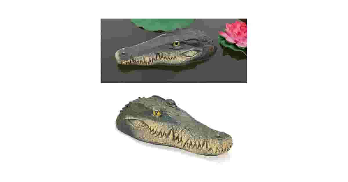 Lagos Para Patos e Gansos Reviews: Como Proteger?