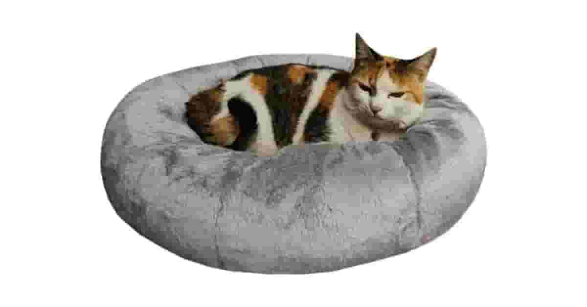 Melhor Cama para Gatos: Conforto e Segurança Para Seu Felino