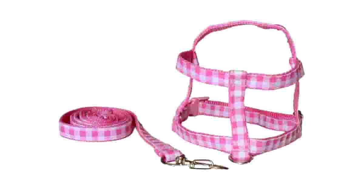 Melhor Coleira para Cachorro Filhote: Guia Essencial para Segurança