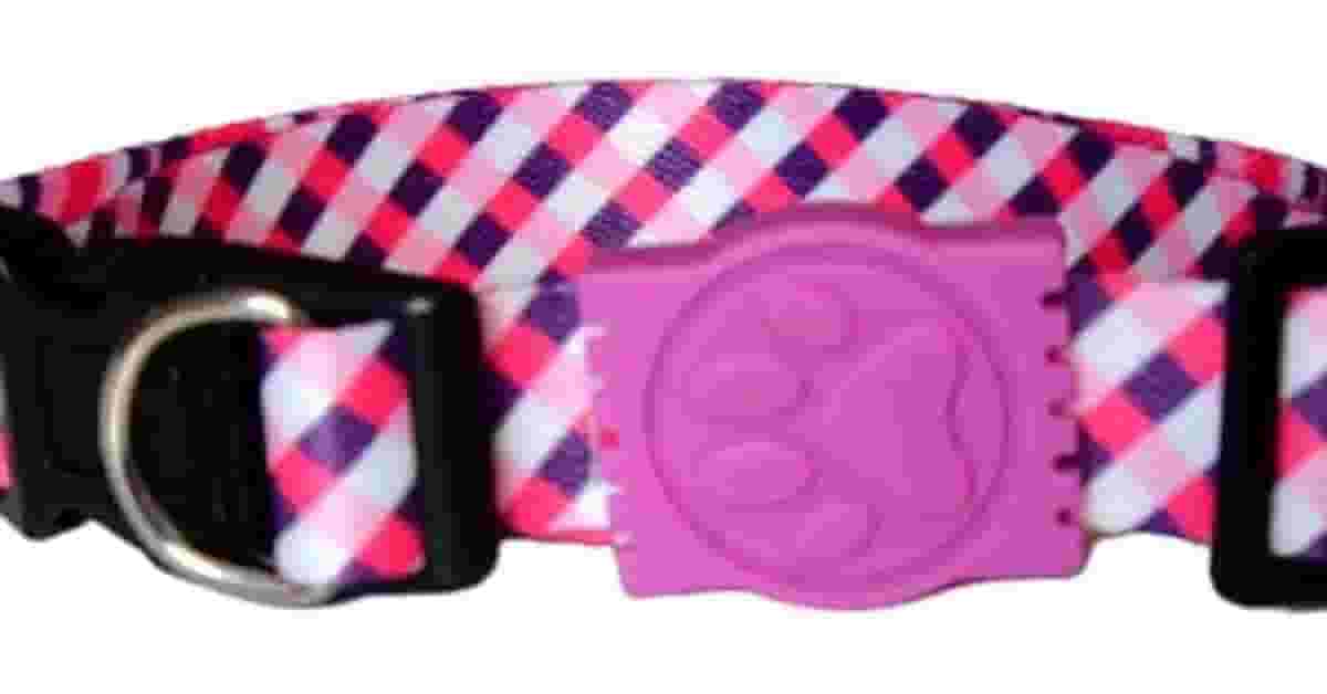 Melhor Coleira para Cachorro Grande: Conforto e Segurança!