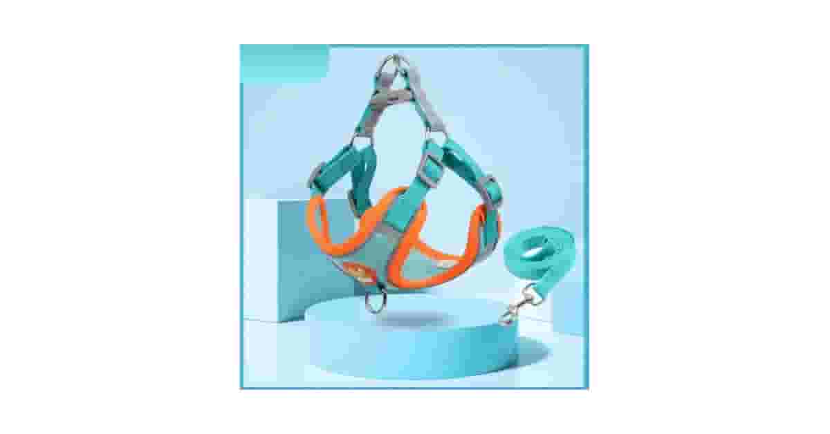 Melhor Coleira para Cachorro Pequeno: Guia de Conforto e Segurança