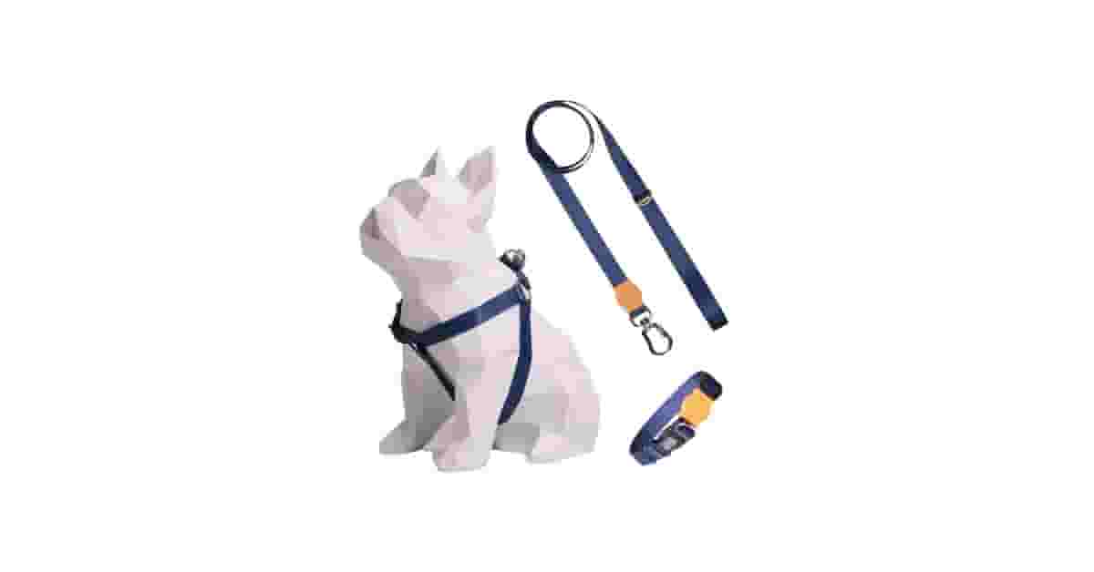 Melhor Coleira para Cachorro Salsicha: Conforto e Segurança!