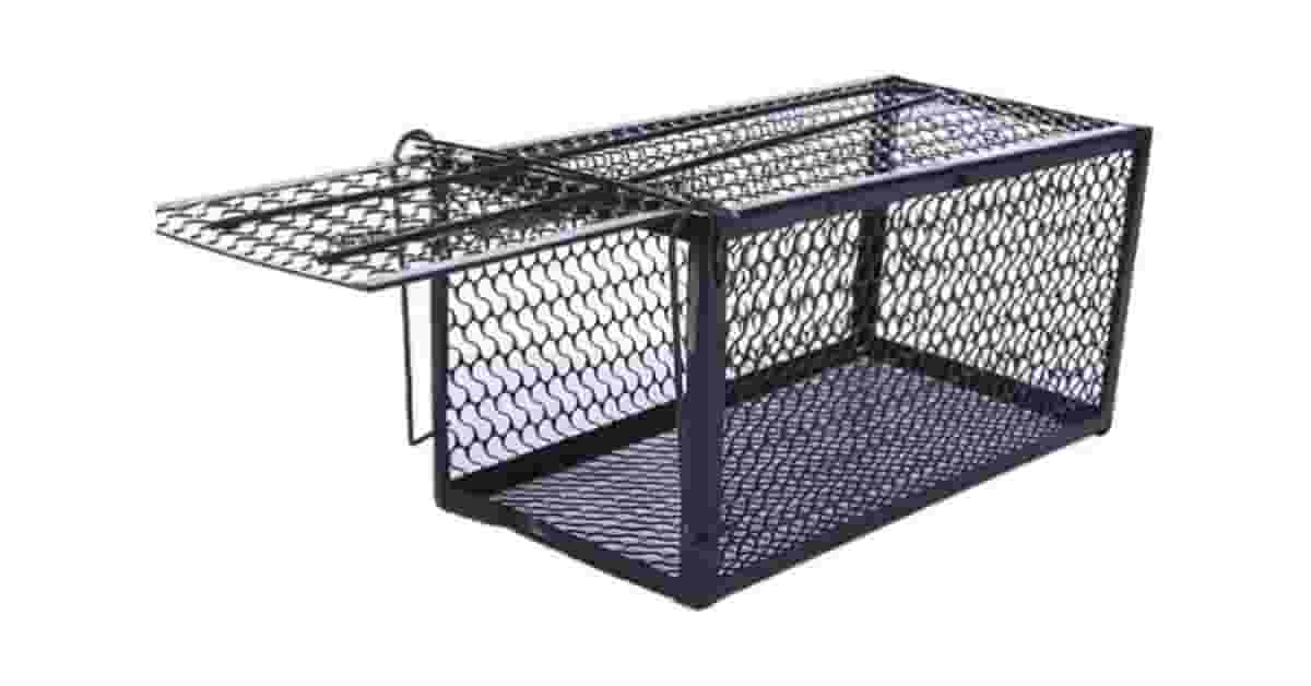 Melhor Ratoeira para Ratos Grandes: Captura Eficiente Garantida!