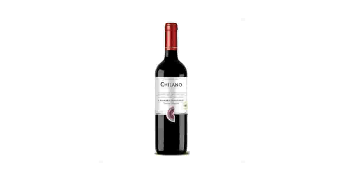 Melhor Vinho Chileno: Cabernet Sauvignon e Carmenere em Destaque!