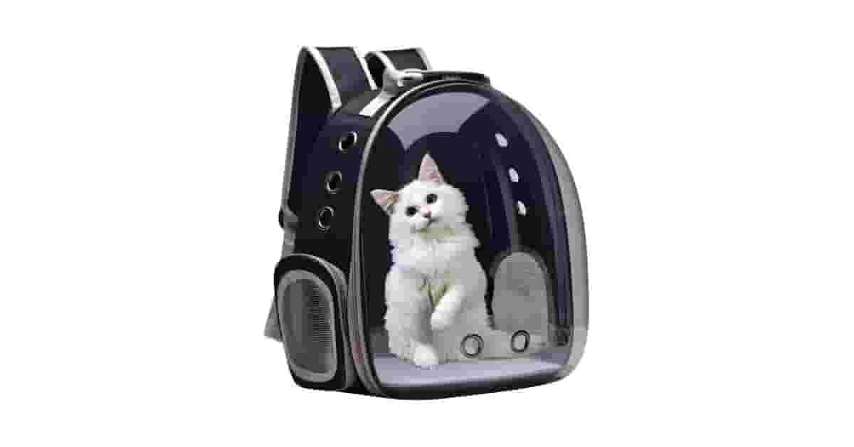 Melhores Bolsas de Transporte para Gato e Cachorro: Qual a Ideal?