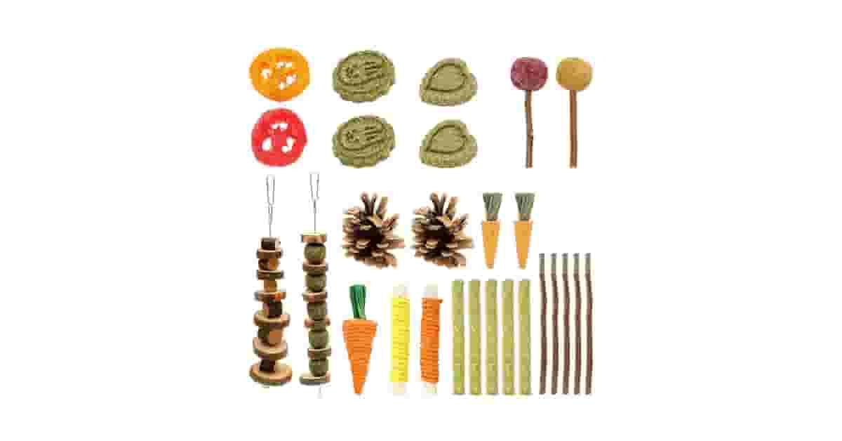 Melhores brinquedos para coelho: 10 Itens Seguros