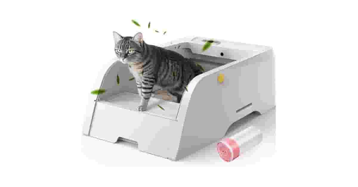 Melhores Caixas de Areia Para Gatos Que Não Espalham Odor: Top 10